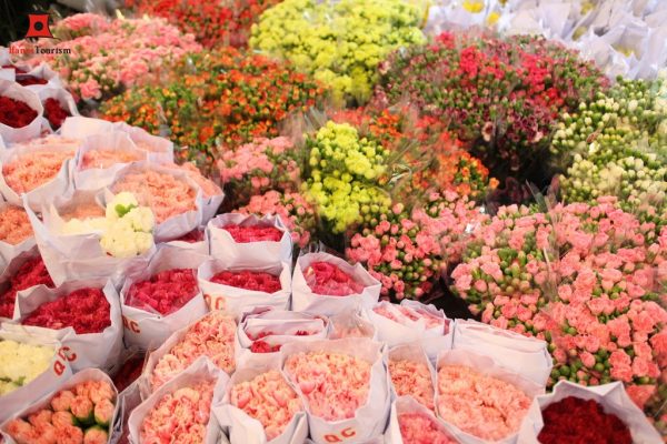 Hoa tại chợ đầu mối rẻ, đẹp lại tiết kiệm chi phí hơn